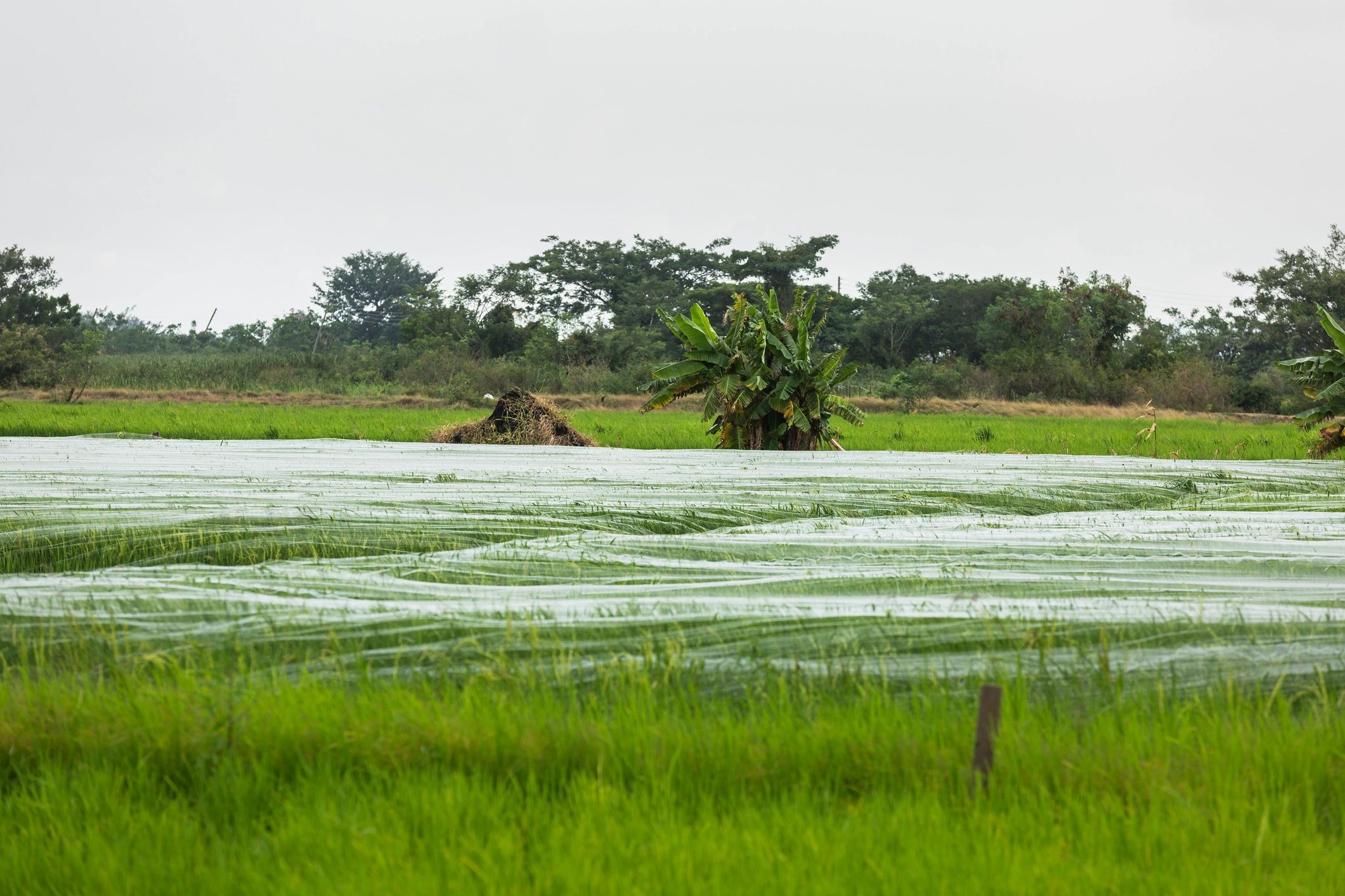Land available for sale in Ghana